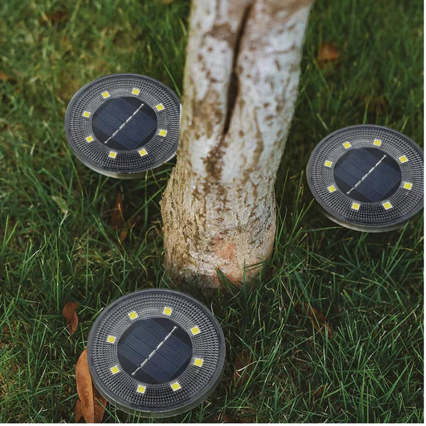 Solar Pathway Light™