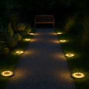 Solar Pathway Light™