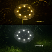 Solar Pathway Light™