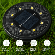 Solar Pathway Light™