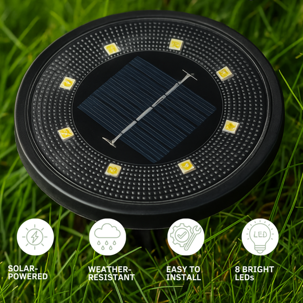 Solar Pathway Light™