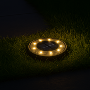 Solar Pathway Light™